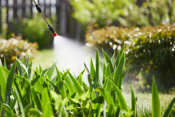 24/7 Emergency Fumigation Services experts in New Castle, IN