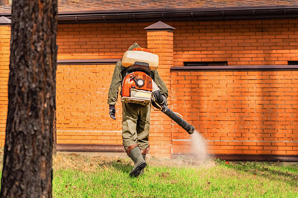 Trusted Termite Control service in New Castle, IN - Nex Pest Control